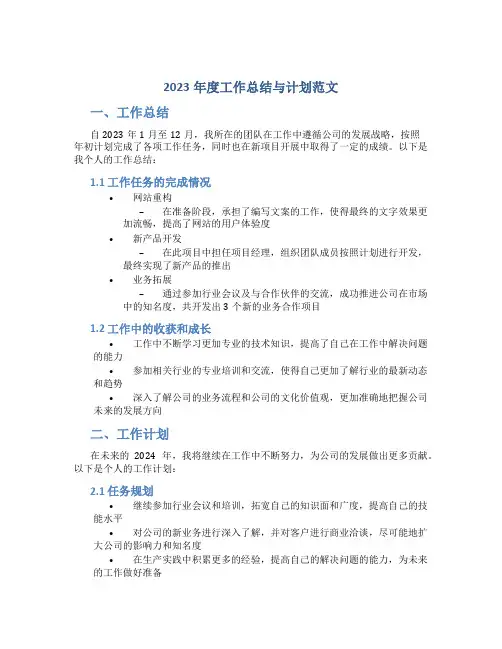2023年度工作总结与计划范文