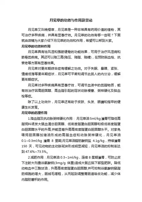 月见草的功效与作用及禁忌