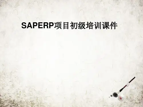 SAPERP项目初级培训课件