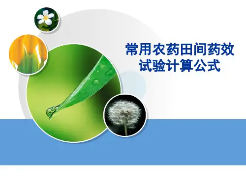 公式