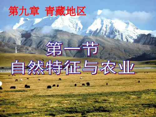 第九章青藏地区第一节-自然特征与农业