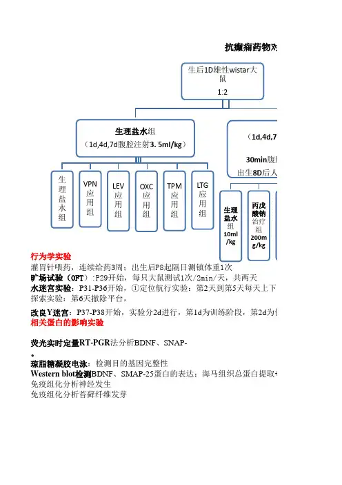 动物癫痫模型汇总