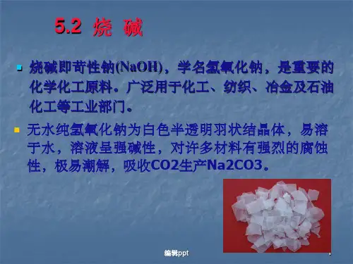 化工工艺学烧碱