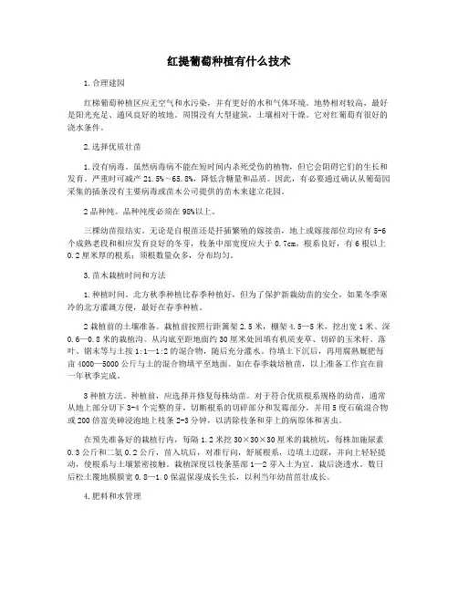 红提葡萄种植有什么技术
