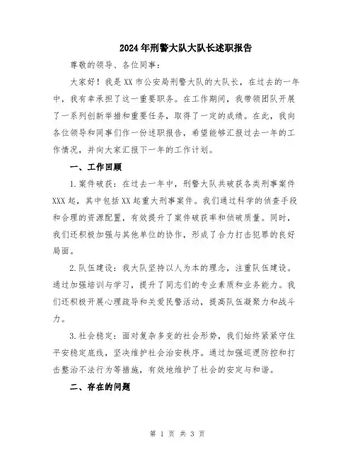 2024年刑警大队大队长述职报告