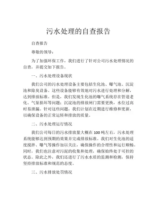 污水处理的自查报告