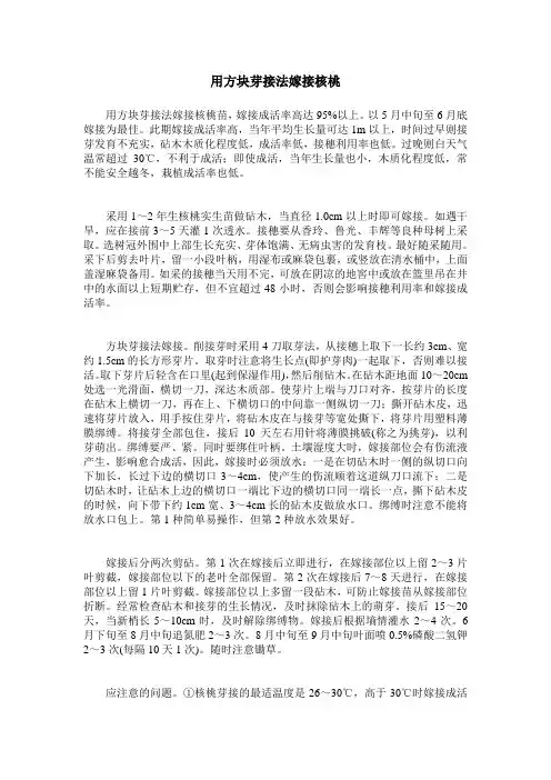 用方块芽接法嫁接核桃