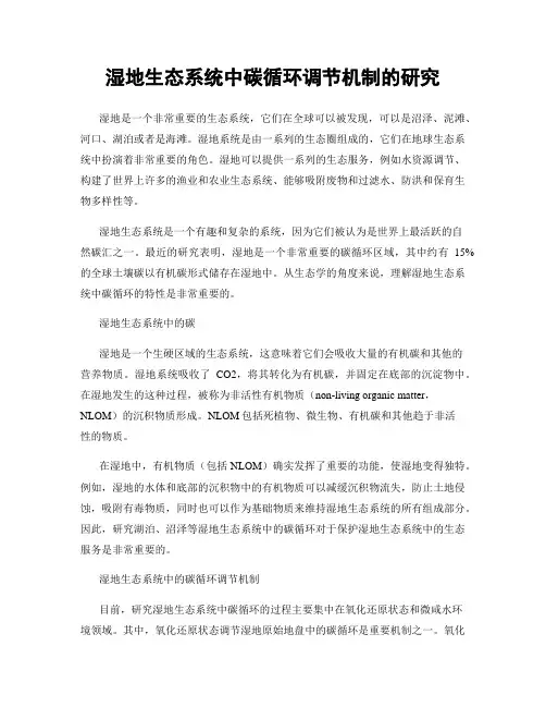 湿地生态系统中碳循环调节机制的研究