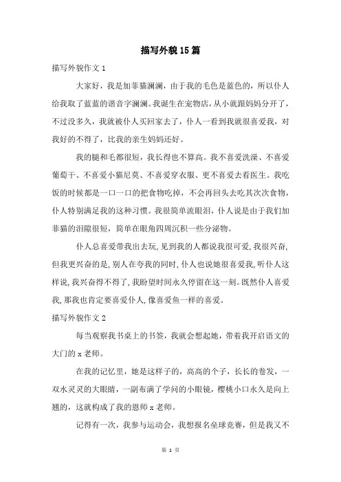 描写外貌15篇