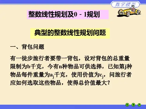 典型的整数线性规划问题
