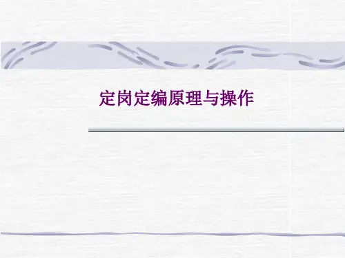定岗定编原理与操作