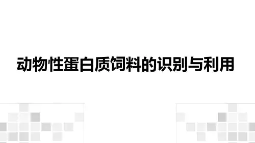 动物性蛋白质饲料的识别与利用课件(共29张PPT)《动物营养与饲料》