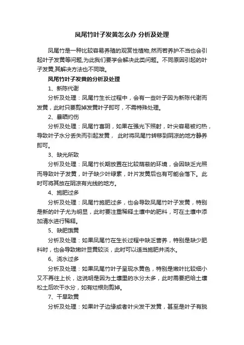 凤尾竹叶子发黄怎么办分析及处理