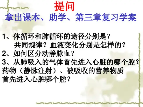 关注心血管健康课件(共21张PPT)济南版生物七年级下册