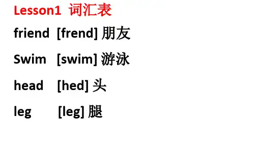 科普版四年级上 英语 单词卡片