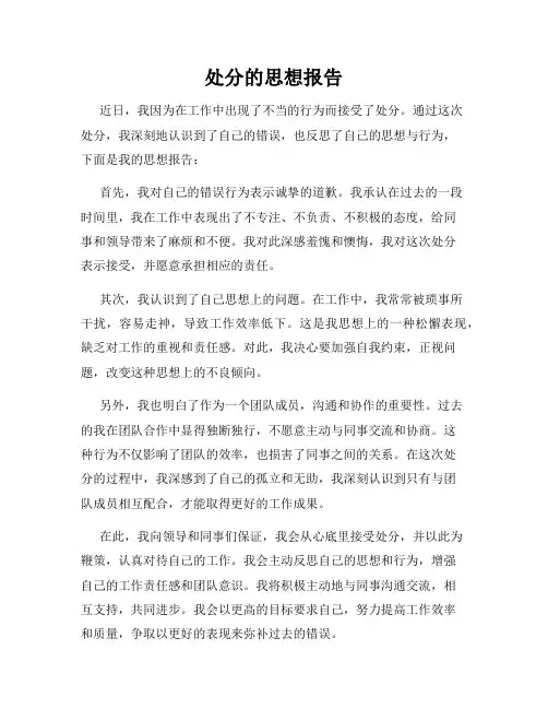 处分的思想报告