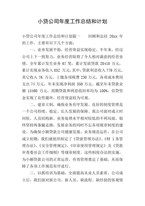 小贷公司年度工作总结和计划