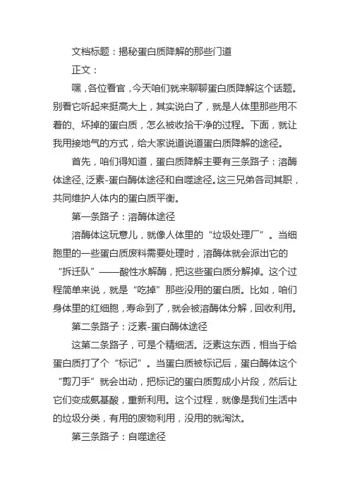 蛋白质降解的途径