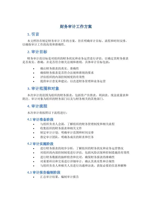 财务审计 工作方案