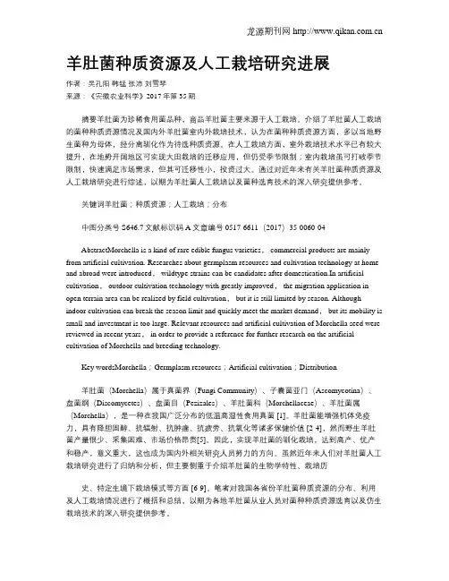 羊肚菌种质资源及人工栽培研究进展