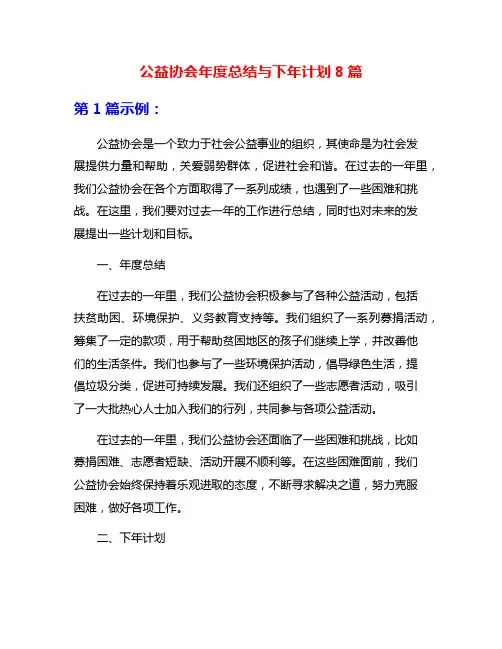 公益协会年度总结与下年计划8篇
