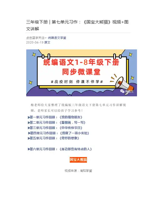 三年级下册 - 第七单元习作：《国宝大熊猫》视频+图文讲解