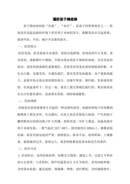谨防茄子绵疫病