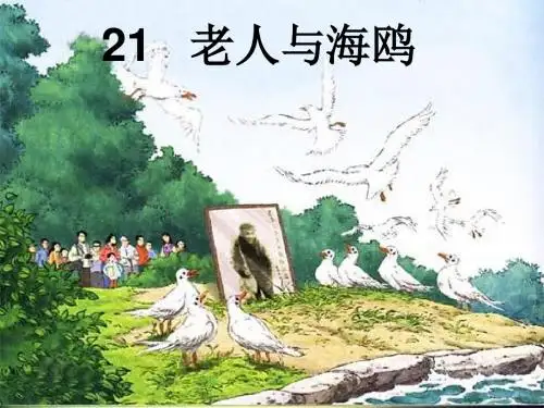 《老人与海鸥》ppt课件