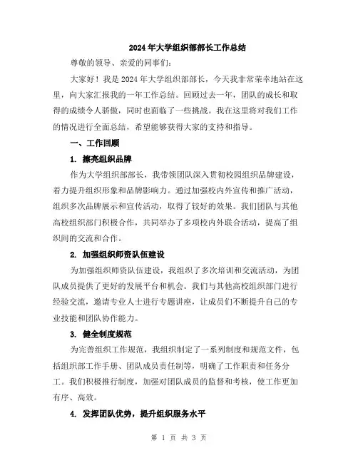 2024年大学组织部部长工作总结