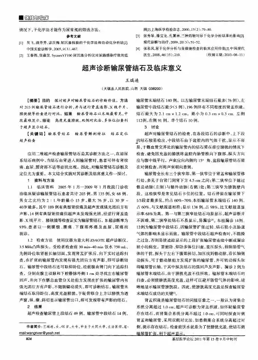 超声诊断输尿管结石及临床意义