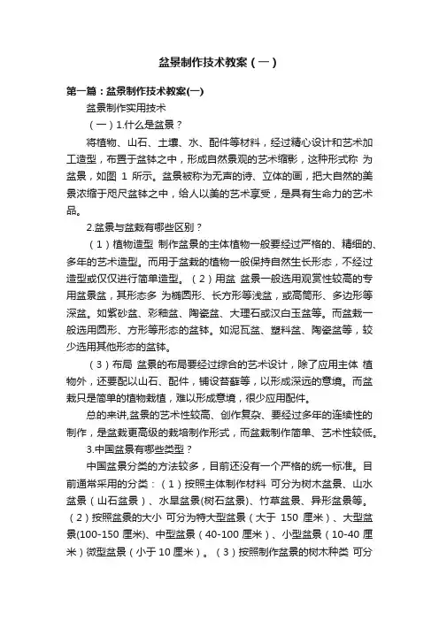盆景制作技术教案（一）