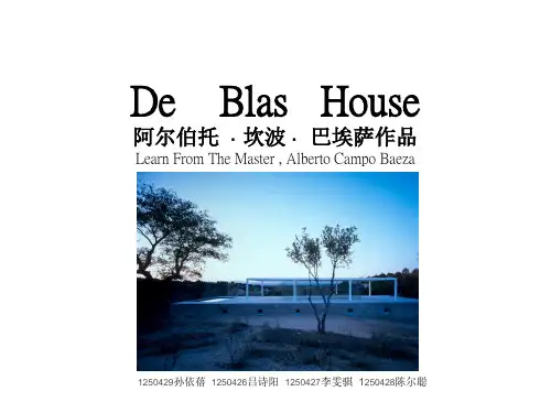 (精品)德布拉斯住宅分析