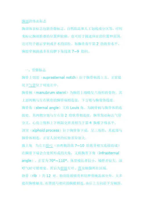 胸部的体表标志