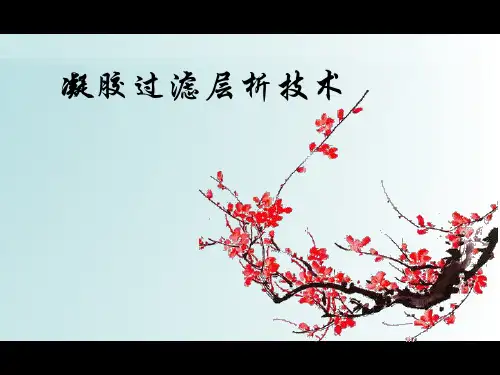 凝胶过滤层析简介