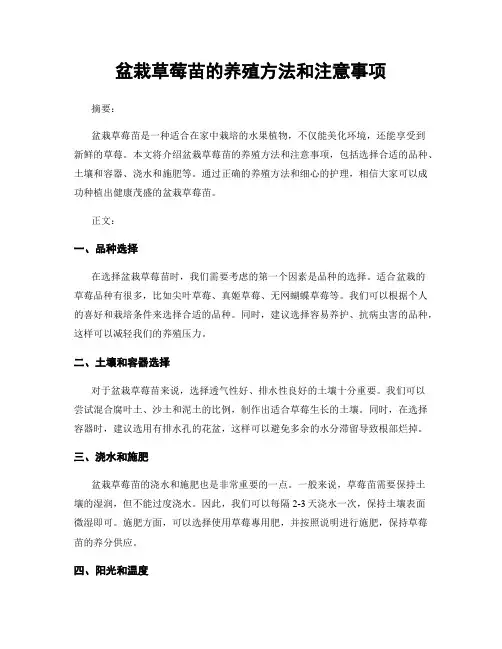 盆栽草莓苗的养殖方法和注意事项