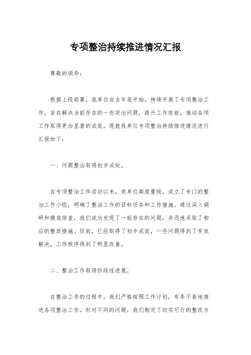 专项整治持续推进情况汇报