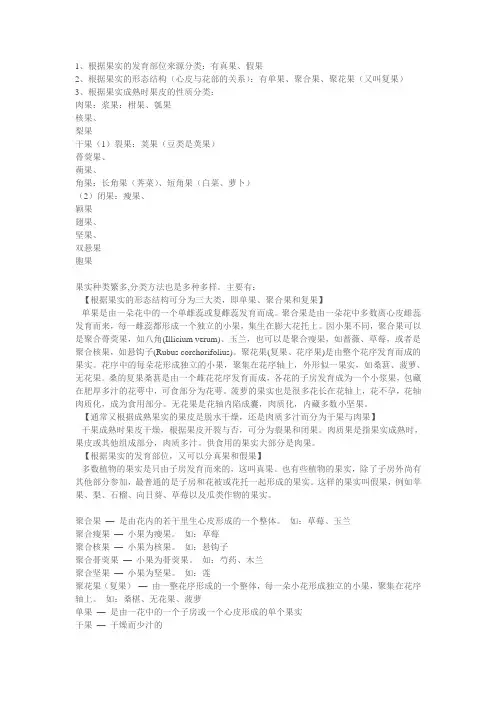 果实分类