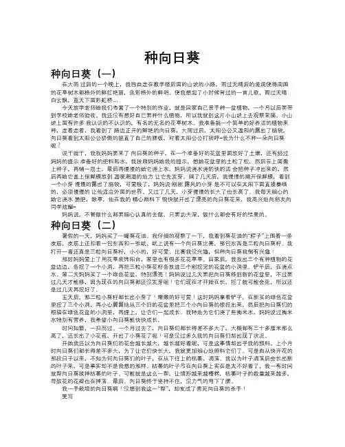 种向日葵作文共九篇