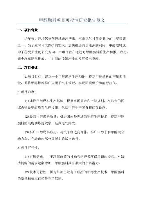 甲醇燃料项目可行性研究报告范文