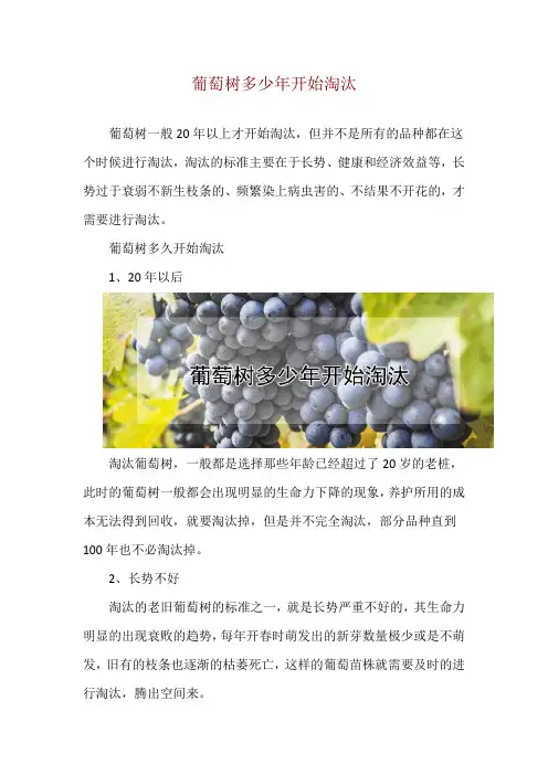 葡萄树多少年开始淘汰
