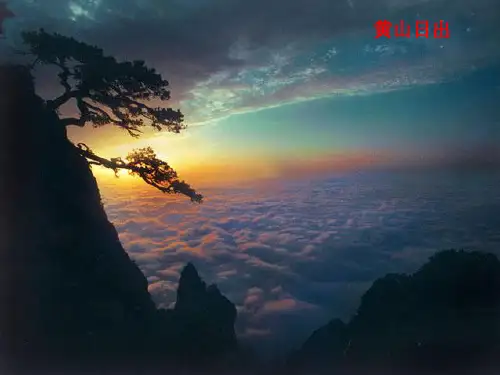 第六节 神奇的眼睛 PPT课件