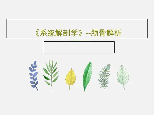 《系统解剖学》--颅骨解析共40页文档