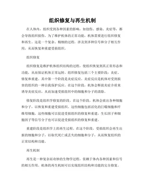 组织修复与再生机制