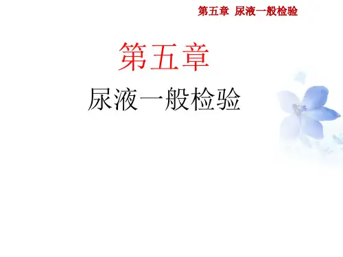 尿液一般检验-尿液理学检查