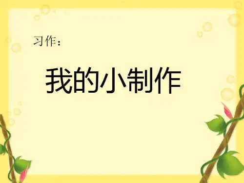 我的小制作__(作文指导课)