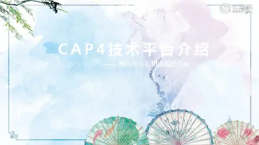 CAP技术平台介绍v
