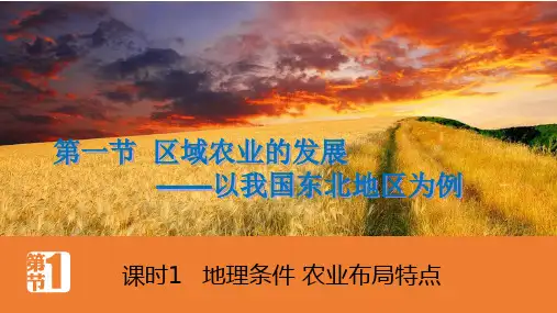 区域农业的发展《以我国东北地区为例》
