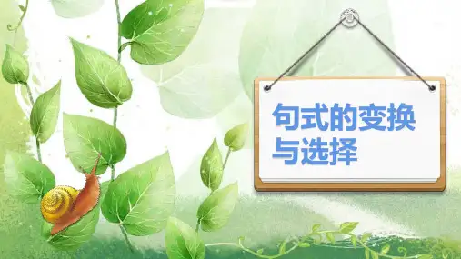 句式的变换与选择
