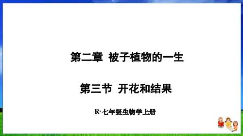 人教版生物七上第二章第三节 开花和结果(33页附练习题)