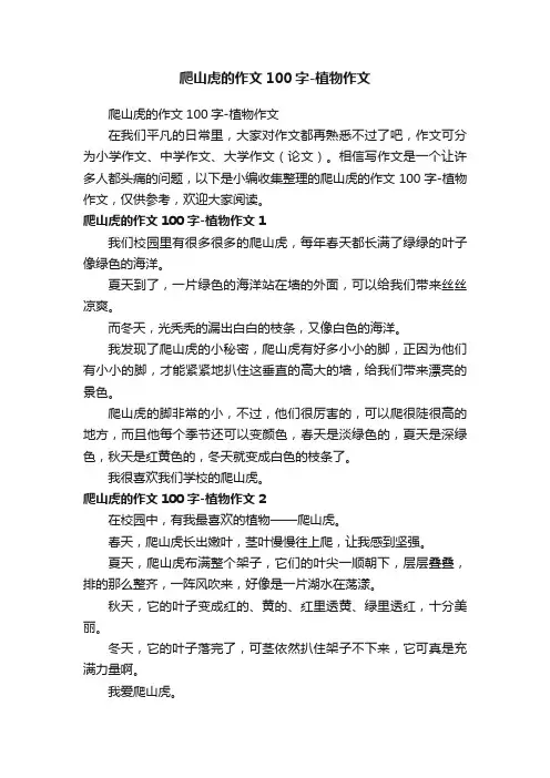 爬山虎的作文100字-植物作文